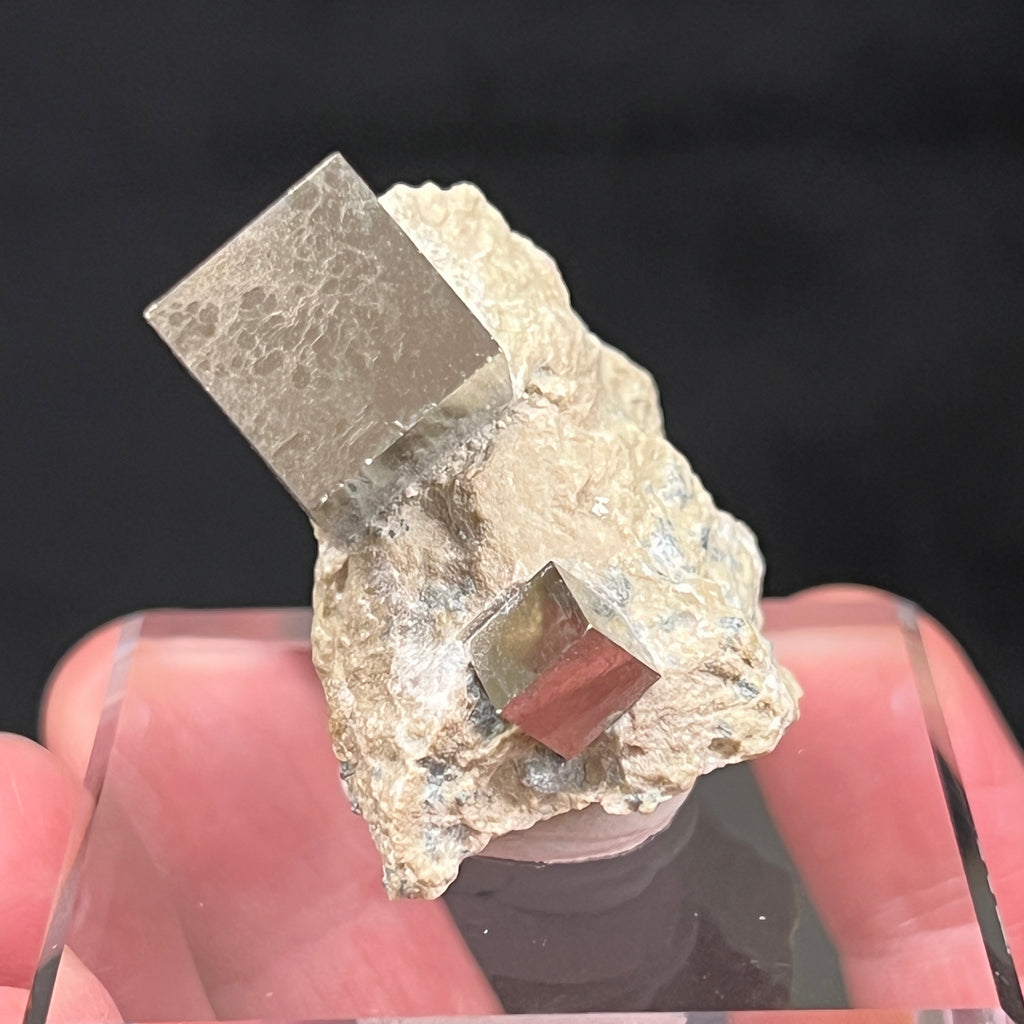 This higher quality Pyrite Cube specimen, in a limestone matrix, was obtained from a family that carefully extracts some of the best Pyrite available in the world from their mine, Alcarama mountain-chain, in Navajun. La Rioja, Spain.