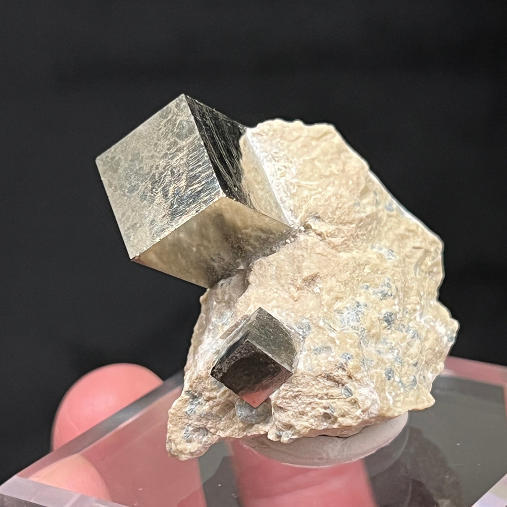 Exhibited is a well formed, beautiful, higher quality** cubic Pyrite crystals specimen with attractive mirror-like metallic luster. 