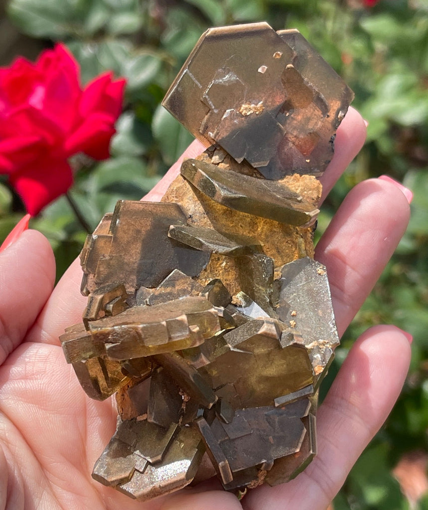 Gorgeous Barite Crystal shown in hand.