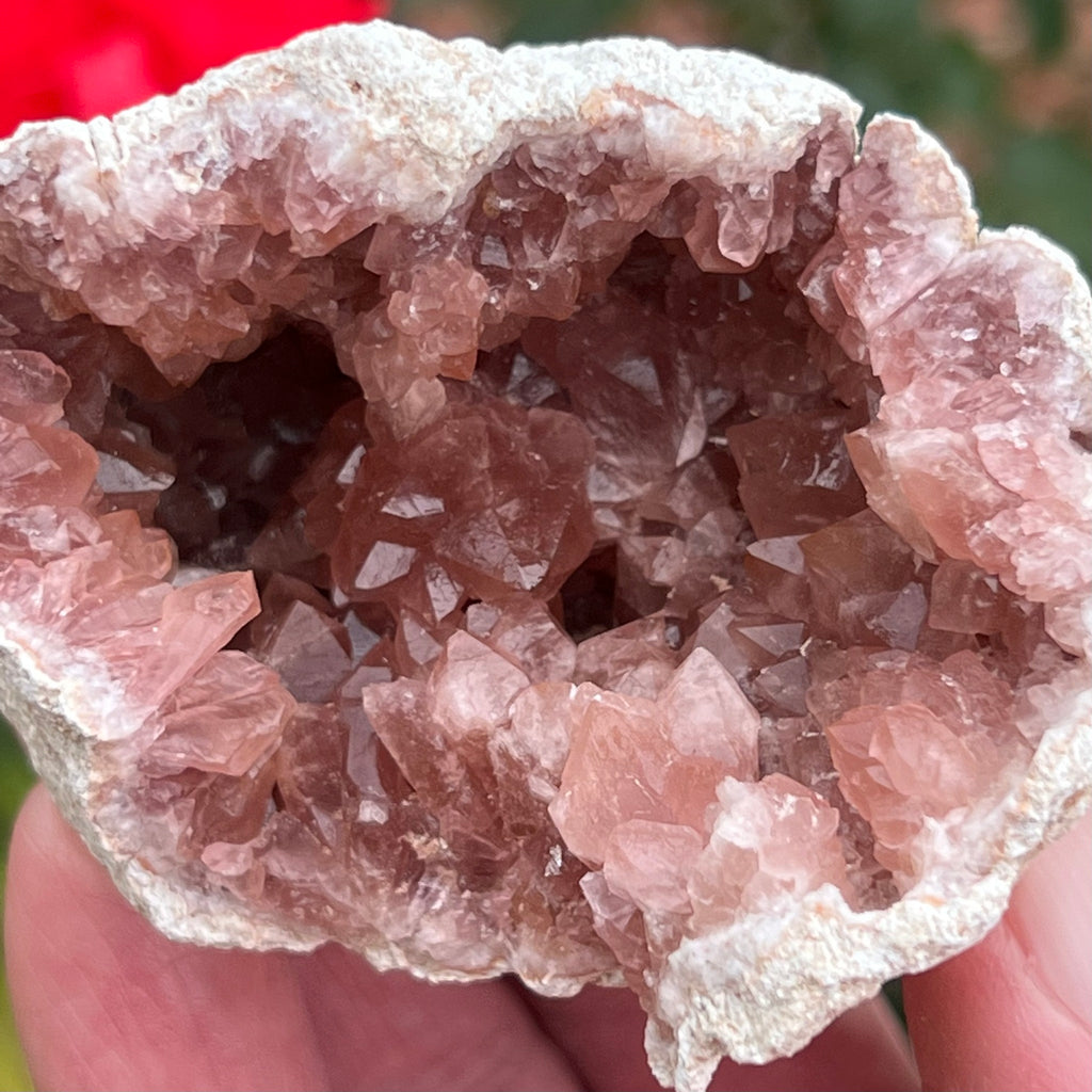 Close up of Pink Amethyst Crystals