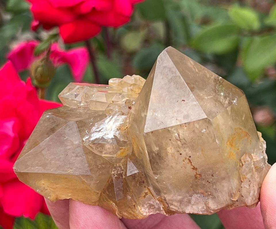 Citrine, natural Crystal cluster from Congo.