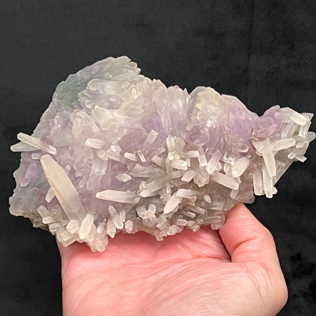 Definitely not your usual or conventional Quartz variety Amethyst Flower with elongated Calcite specimen, this exceptional piece presents with fascinating size, flower form and color.