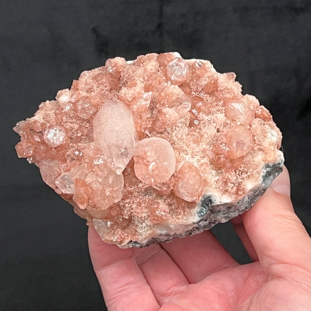 The entire surface of the specimen is naturally dusted with a scattered coating of red Hematite that gives the entire specimen a beautiful mauve to rose-pink color. Source: Jalgaon District, Nashik Division, Maharashtra, western India. Obtained from our contact that has a direct relationship with the owners of the mines in India.