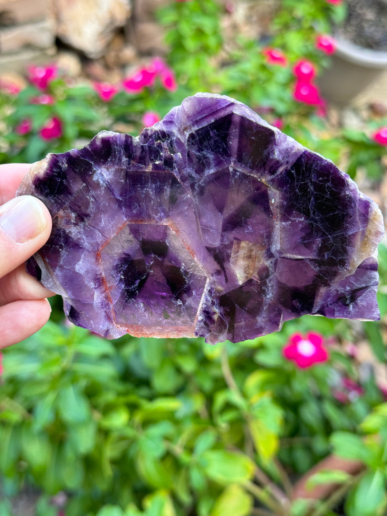 Beautiful Amethyst Slice with trapiche patterns. Alien-like eye formation. Shown backlit, outdoors and indoors for lighting