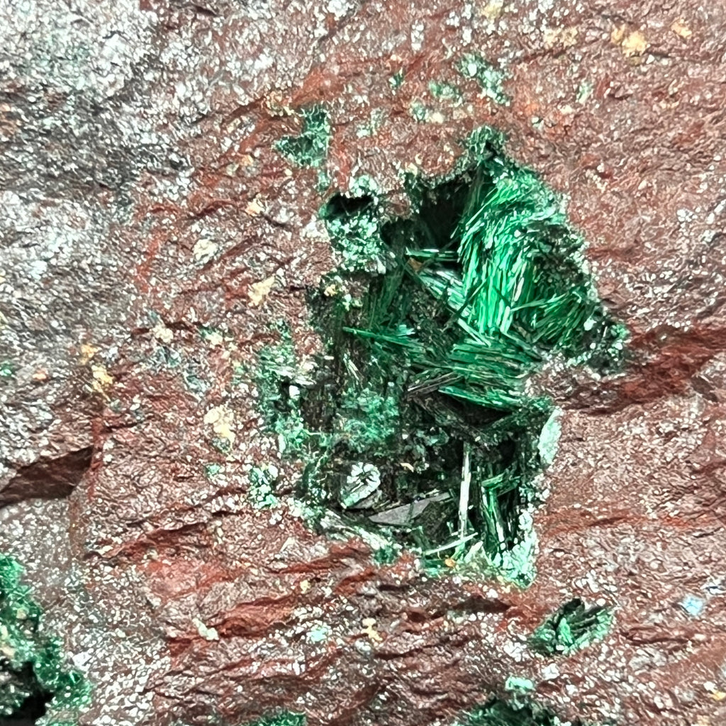This is superb acicular Brochantite with fibrous Malachite on slivery iridescent Bornite matrix from Bou Beker, Touissit-Bou Beker mining district, Jerada Province, Oriental Region, Morocco.