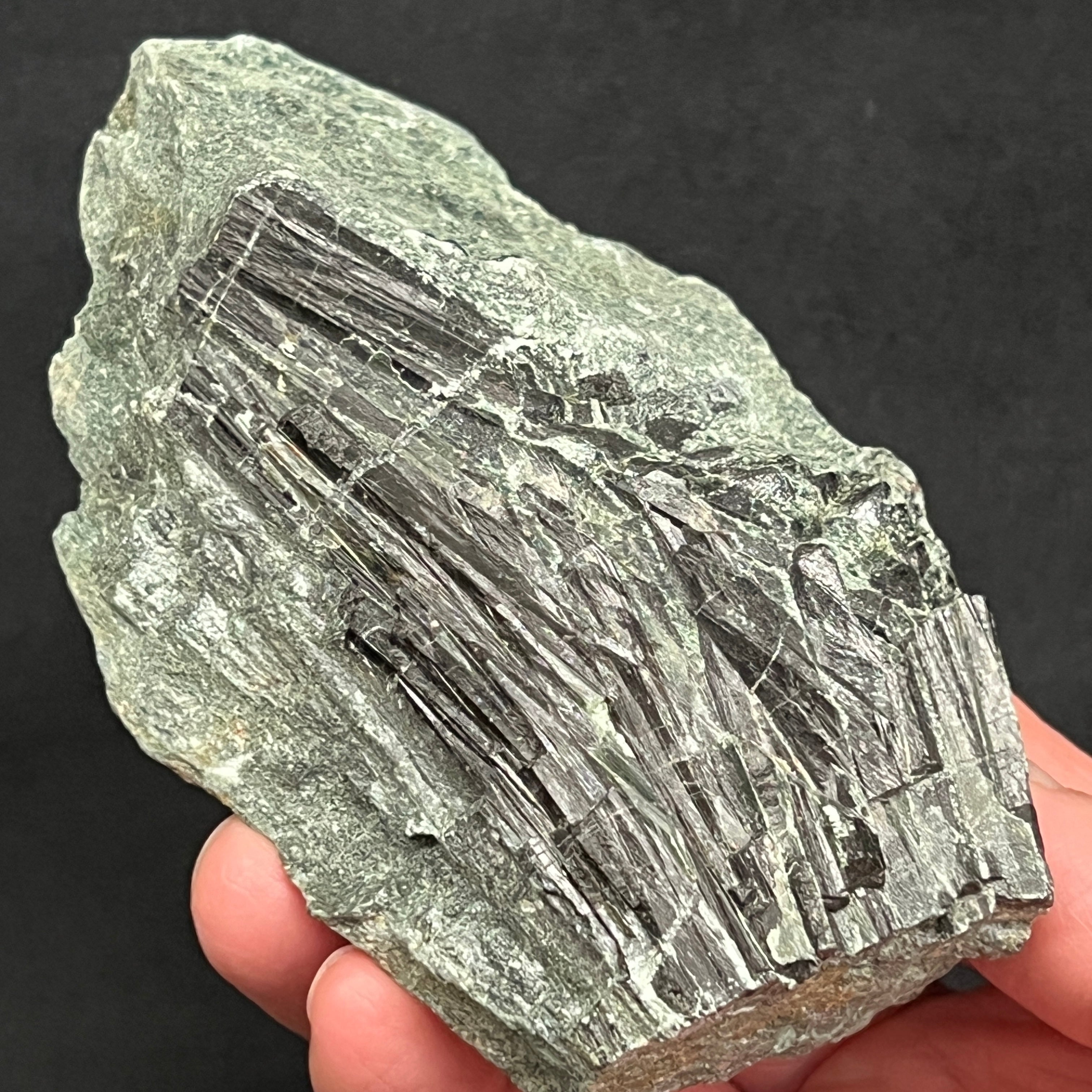 Excellent, natural Black Tourmaline (Shorl) on matrix.