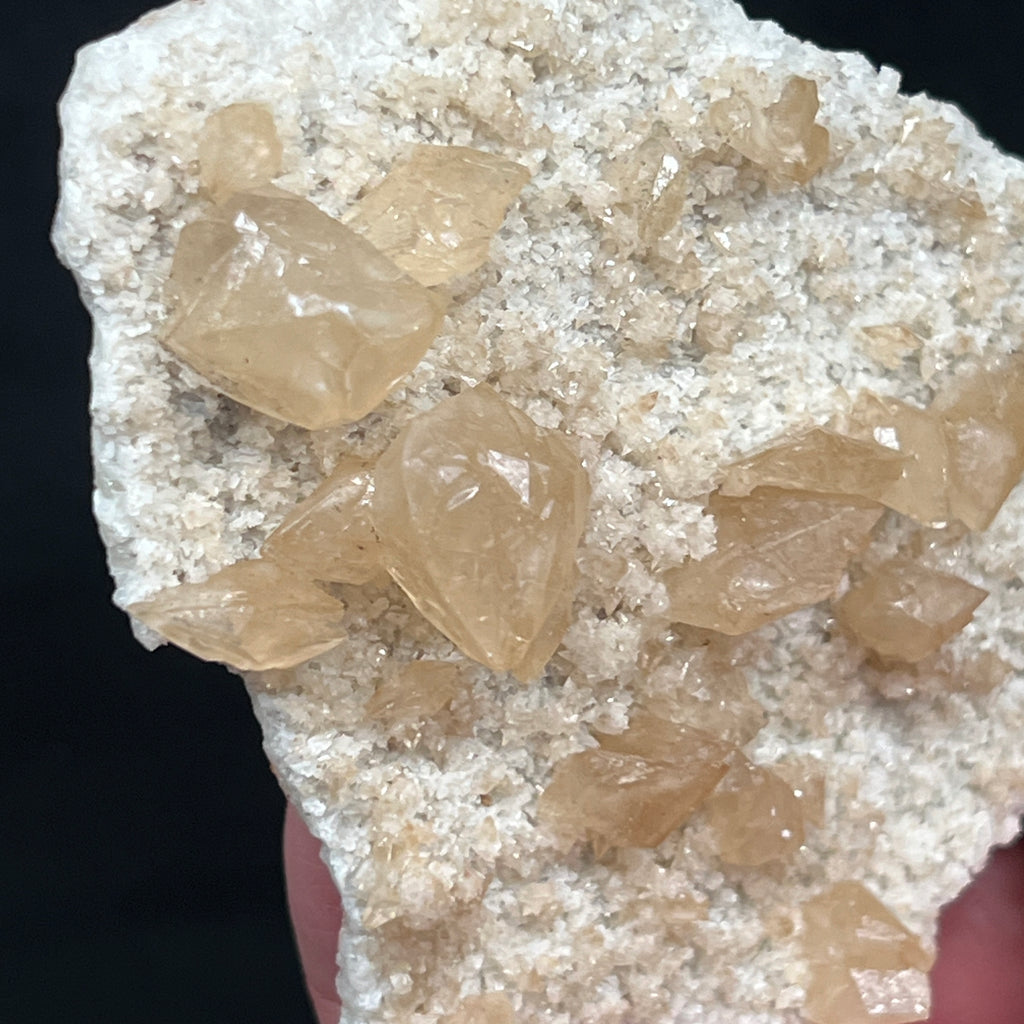 Here is a closer look at the alluring, nicely formed Calcite crystals, some twinned, presenting on this piece from Carthage, Tennessee.