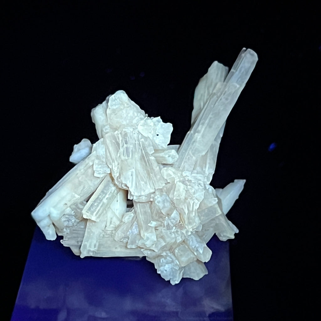 This Celestine / Celestite and Barite with minor Sulphur piece fluoresces a bright creamy white under UV light.  Also phosphorescent.