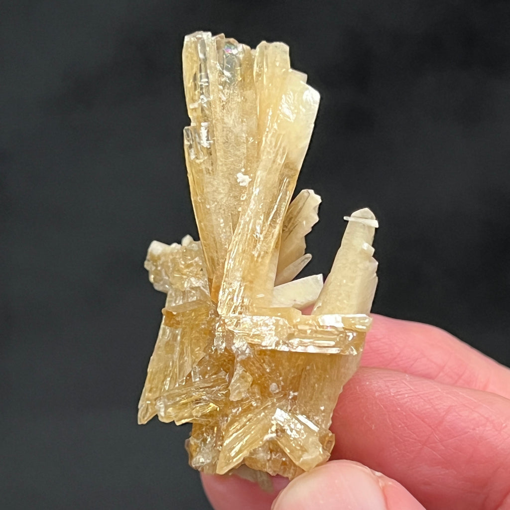 This Celestine, Barite and Sulphur piece, from the Machow Mine in Poland, will be an excellent addition to your collection or to give to another mineral enthusiast.