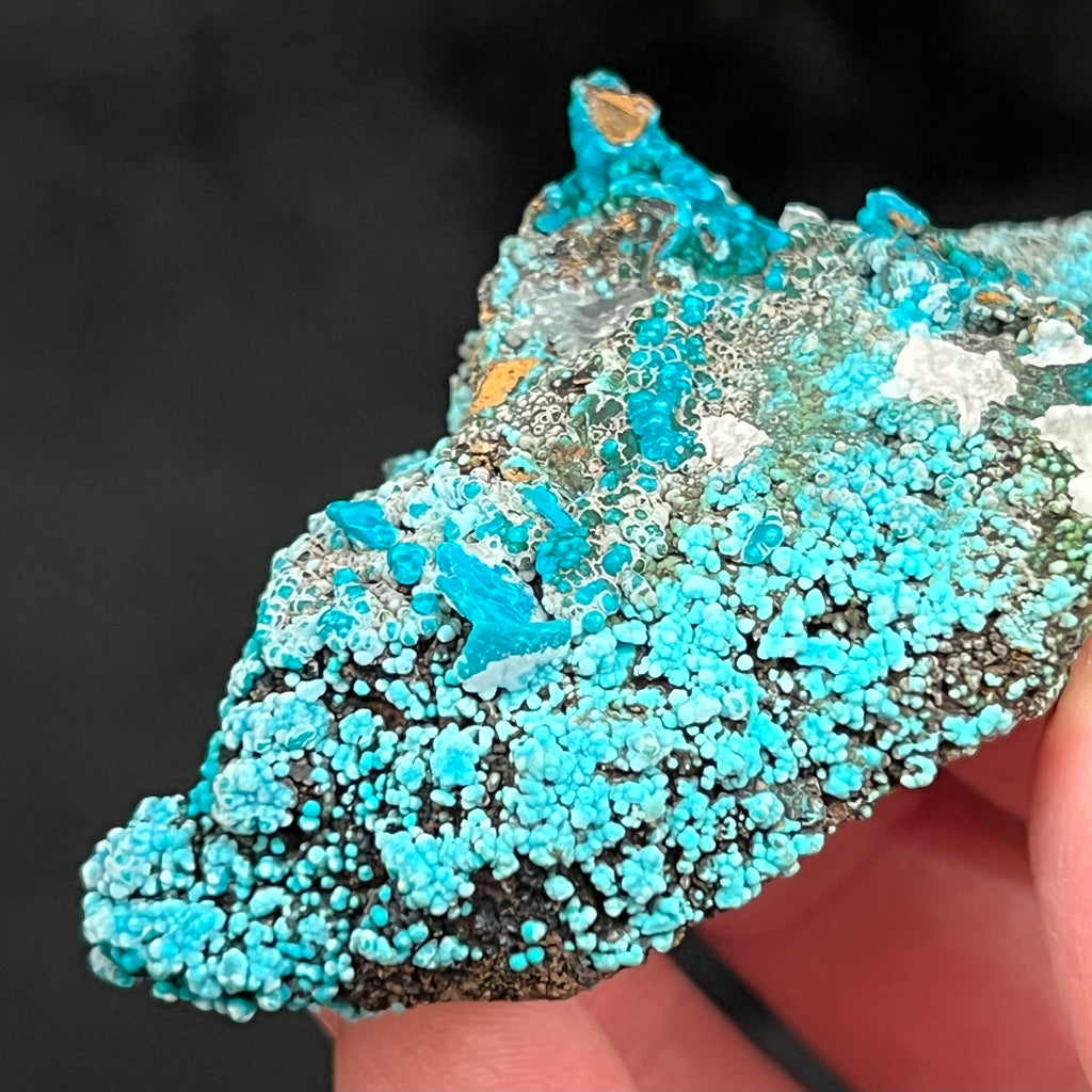 You'll enjoy taking a closer look and exploring this fine, fascinating specimen of botryoidal Chrysocolla from the Tantadora Mine in Peru!! 