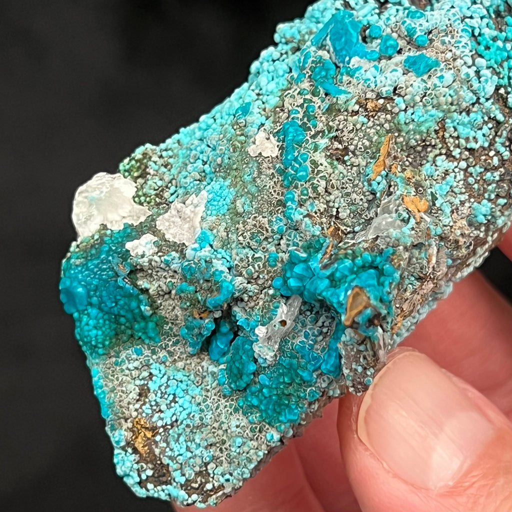 While the Chrysocolla is the wonderfully dominant feature, there also some small occurrences of Quartz var. Chalcedony presenting on this superb specimen.  Source: Tantadora Mina, Julcani District, Angares Province, Huancavelica. Peru.  