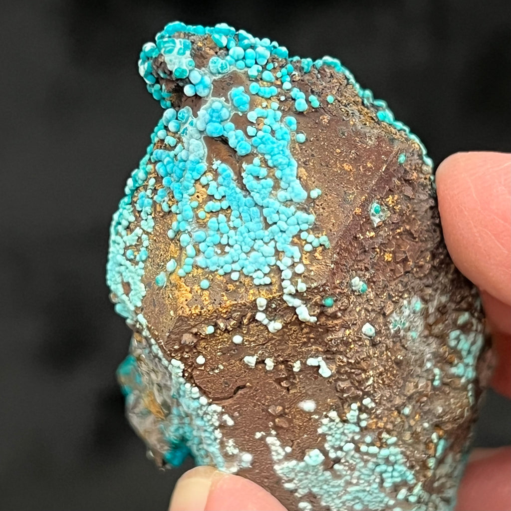 What appears to be an unusual shaped termination is actually a very fascinating secondary growth of Quartz crystals with botryoidal Chrysocolla growing all over it! Source: Tantadora Mina, Julcani District, Angares Province, Huancavelica. Peru.  