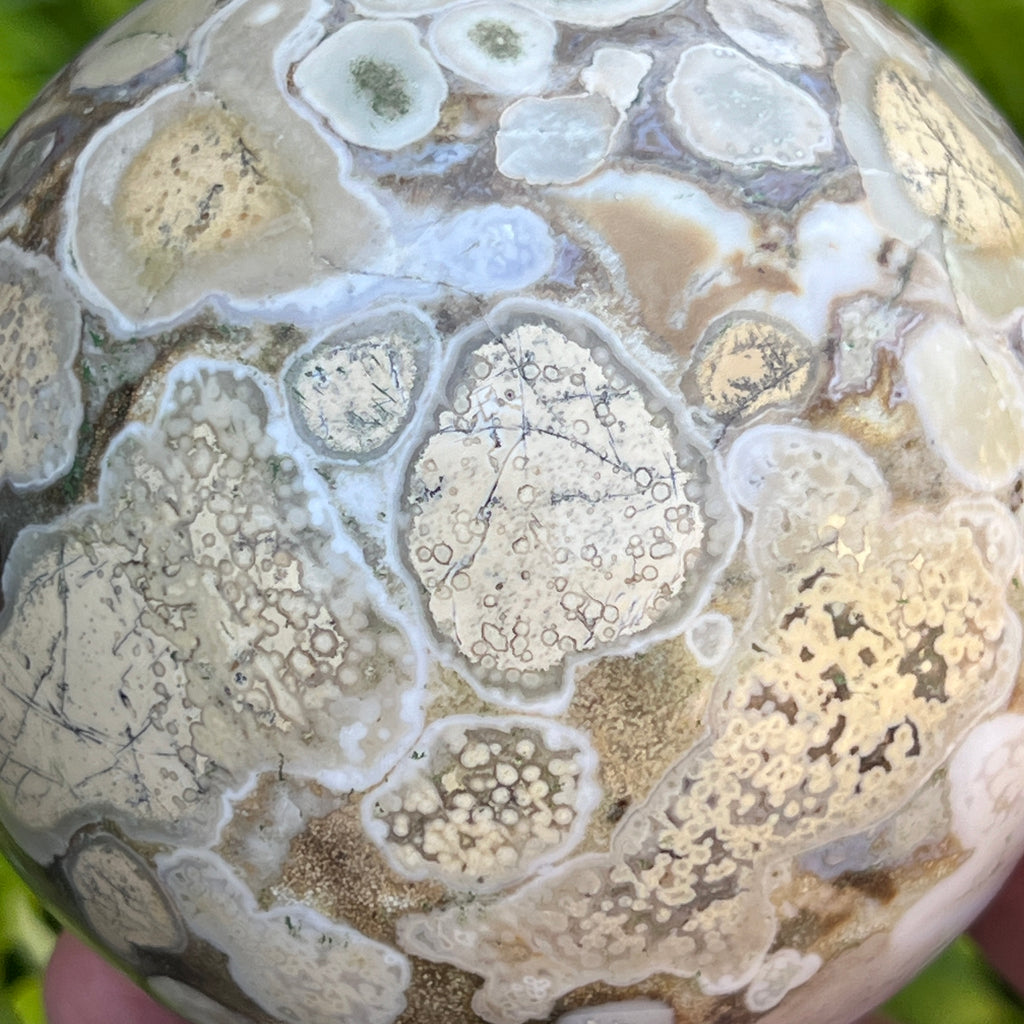 This photo shows a closer view of the orbs and dendrites, the branching or tree-like structures within the creamier orbs of the Orbicular Brecciated Dendritic Jasper Sphere.