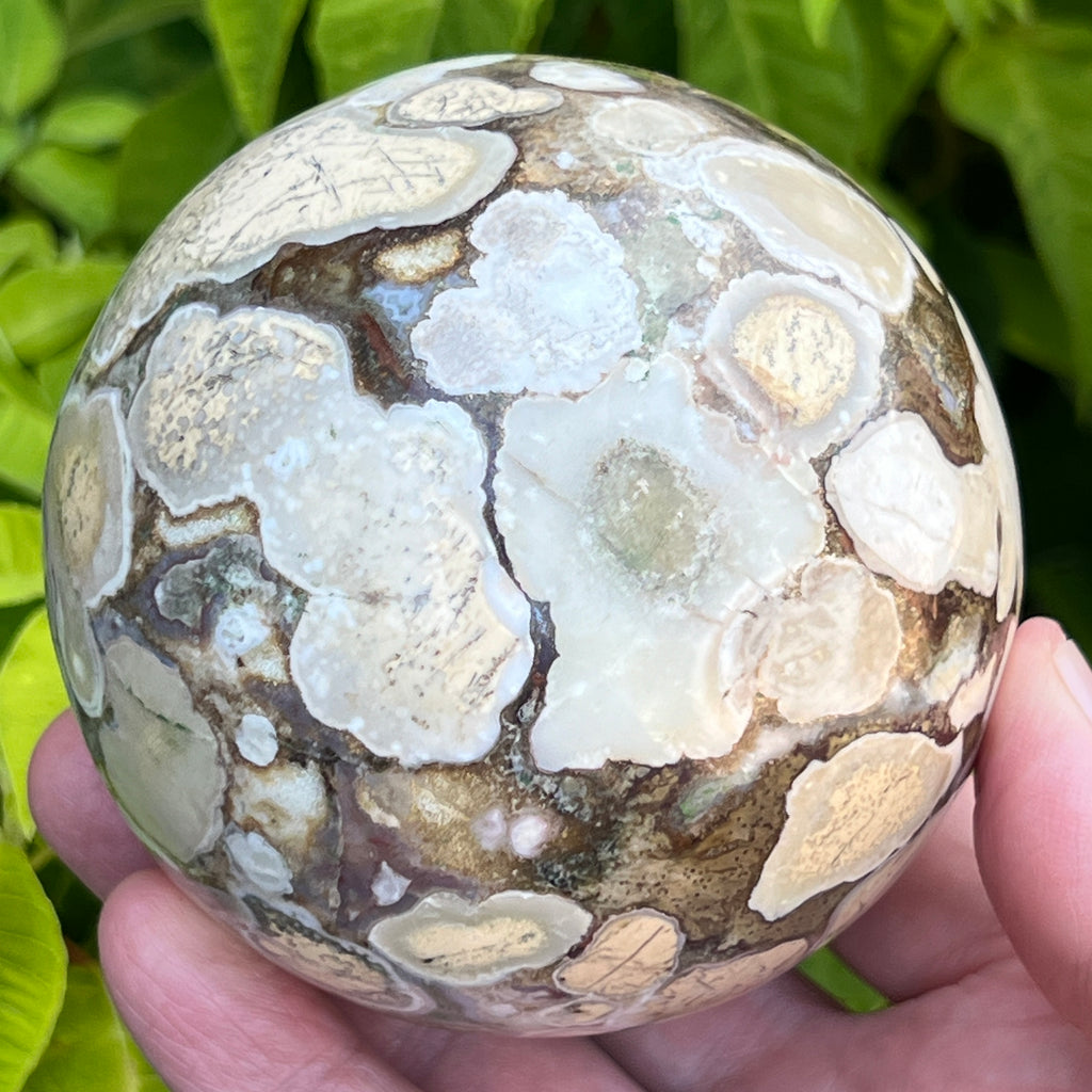 This hard to find Orbicular Brecciated Dendritic Jasper Sphere is from the Jajang Mine, Narsinghpur District, Madhya Pradesh, Central India.