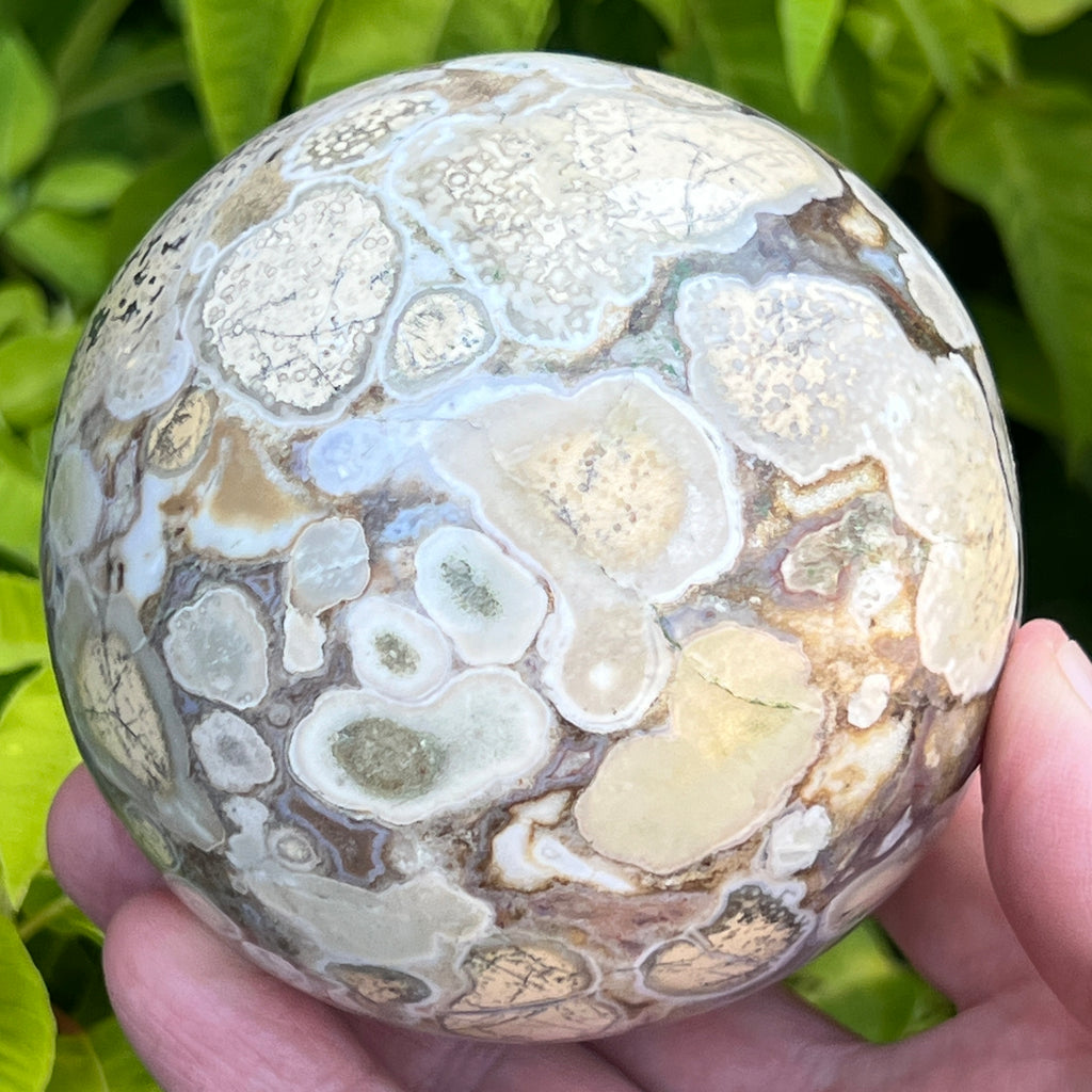 This Orbicular Brecciated Dendritic Jasper Sphere, aka Cobra Jasper, is actually representative of a form of microcrystalline quartz var. chalcedony with a sensational, yet soothing presentation of cream, beige, taupe, brown, yellow-brown and golden brown asymmetrical orbs.