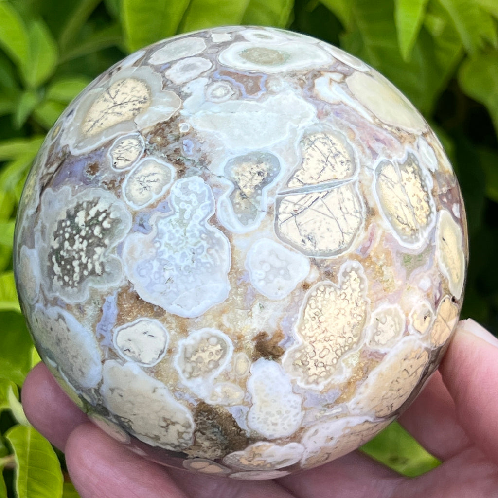 Fascinating and gorgeous, this rare occurrence of Orbicular Brecciated Dendritic Jasper in sphere form, is from the Jajang Mine, Narsinghpur District, Madhya Pradesh, Central India.