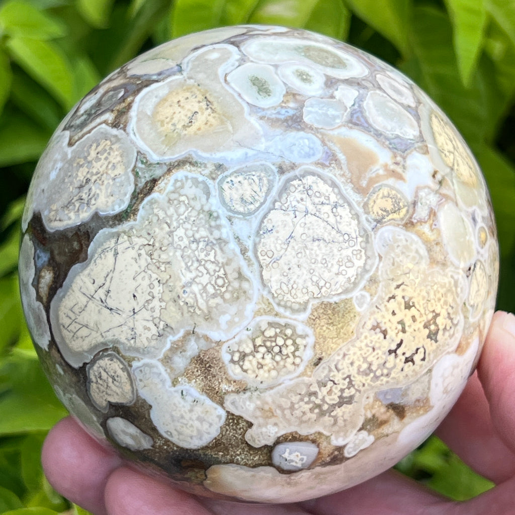 Rare Dendrites! What is even more special about this particular orbicular jasper occurrence is dendrites; not often seen in this occurrence of Orbicular Brecciated Jasper, aka Cobra Jasper.