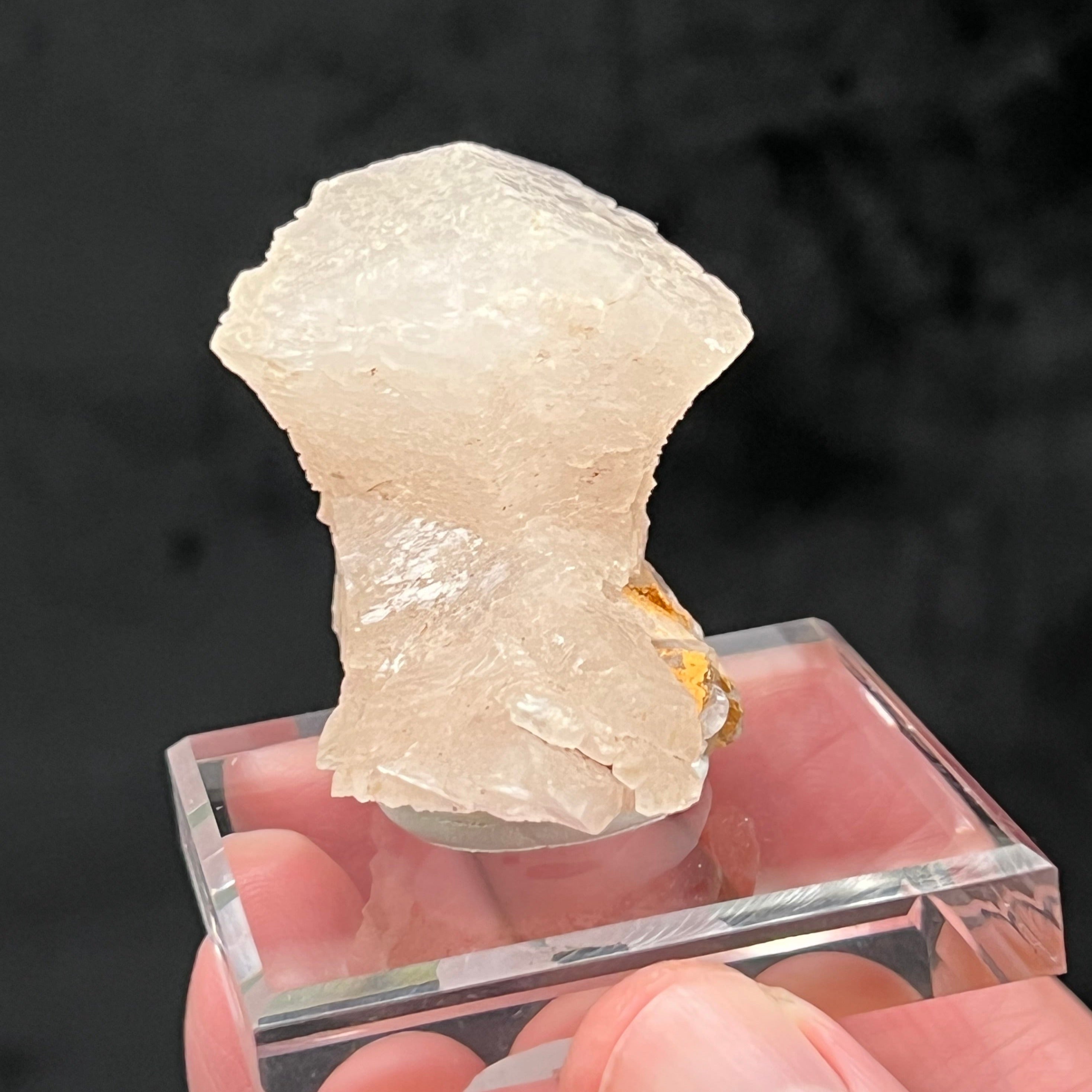 The source for this fine, unusual Calcite is the Vtoroy Sovetskiy Mine, Dalnegorsk, Russia.