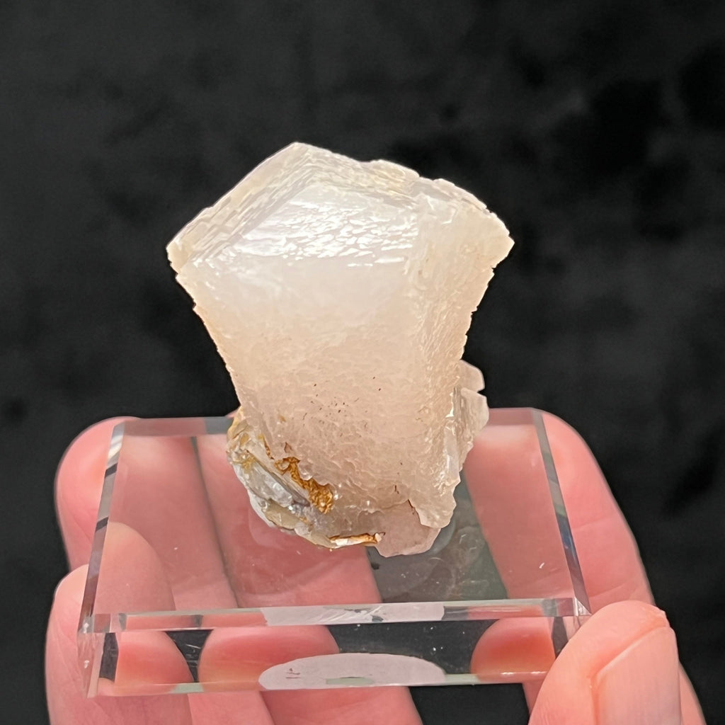 The source for this fine, unusual Calcite is the Vtoroy Sovetskiy Mine, Dalnegorsk, Russia.