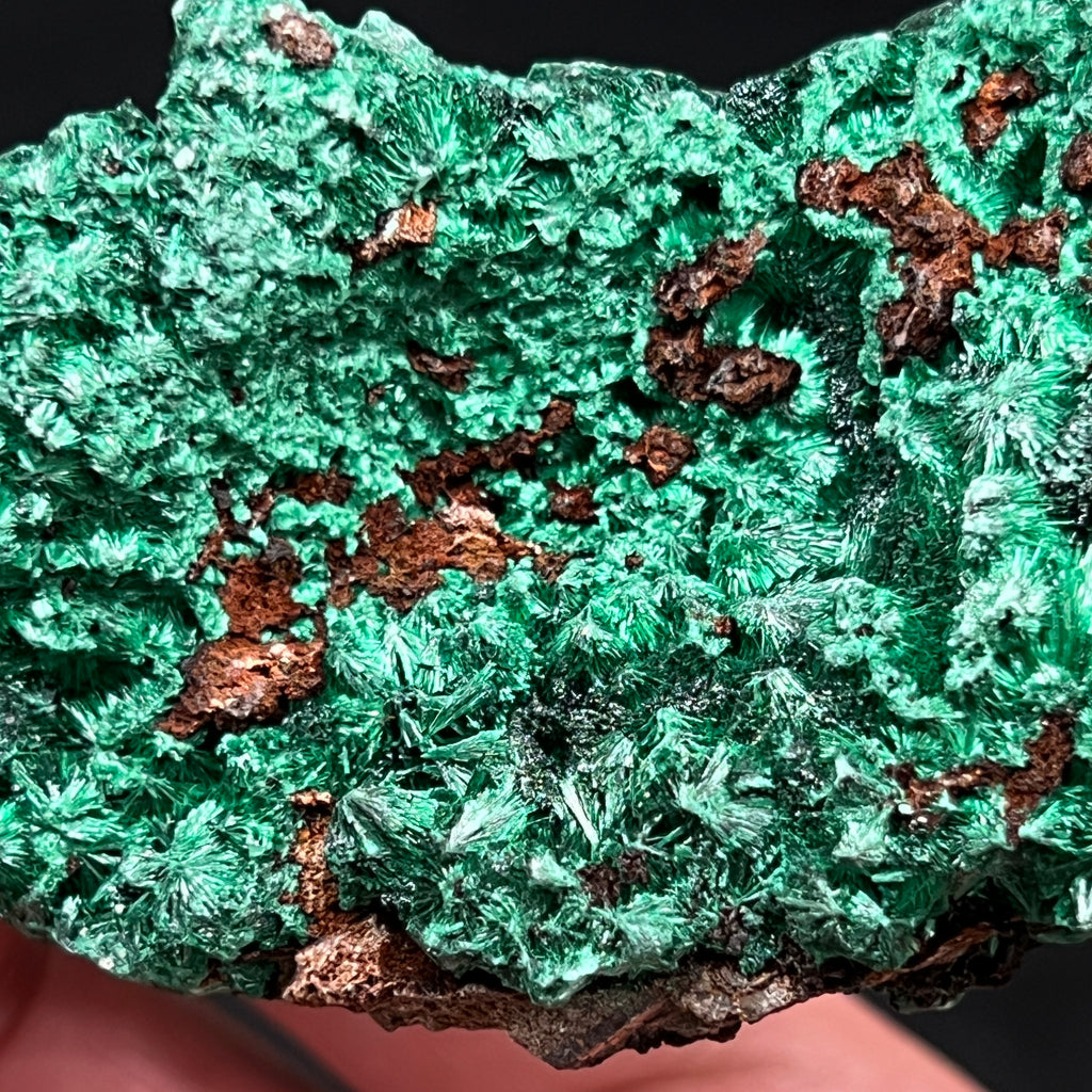 Close examination under magnification of the matrix that the Fibrous Malachite is growing on reveals, not surprisingly, copper bearing characteristics. 