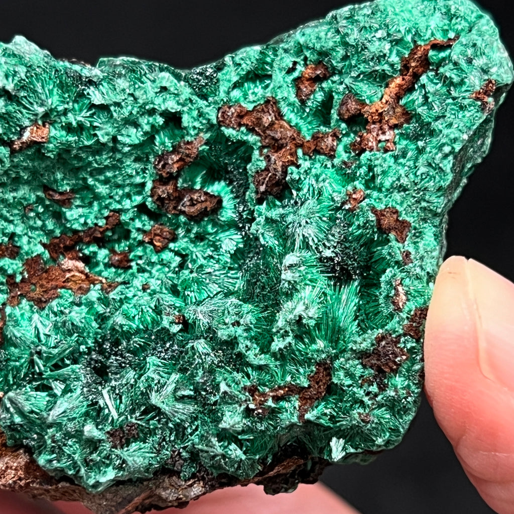 This is a sensational Malachite variety Fibrous piece that will be an excellent addition to your collection or to give as a gift.