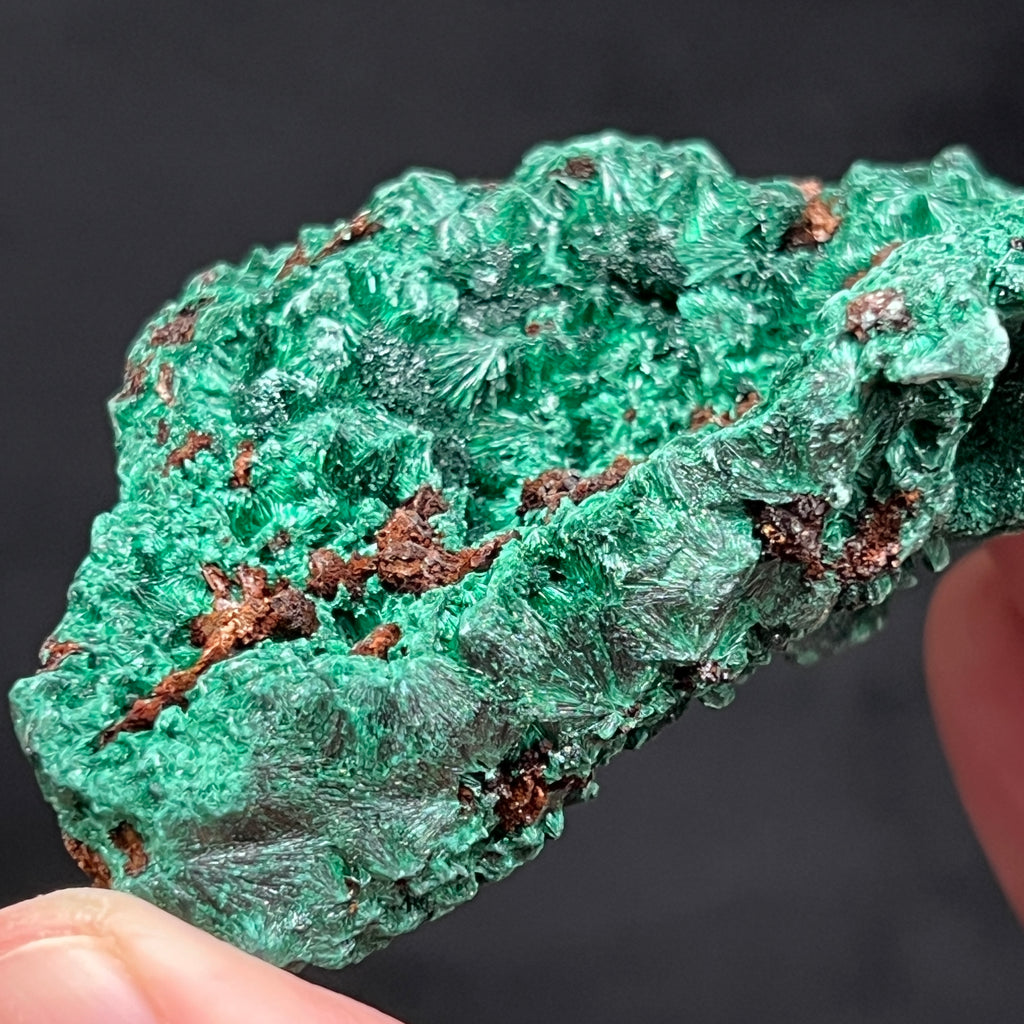 This gorgeous Fibrous Malachite is from the Luishia Mine, Katanga, Katanga Copper Crescent, Democratic Republic of Congo, aka DR Congo.