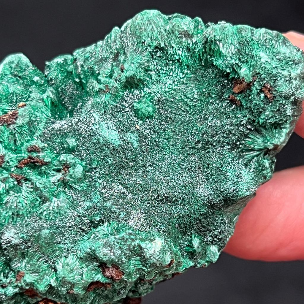 The undulating, silky, velvety areas of this Fibrous Malachite are exceptional.