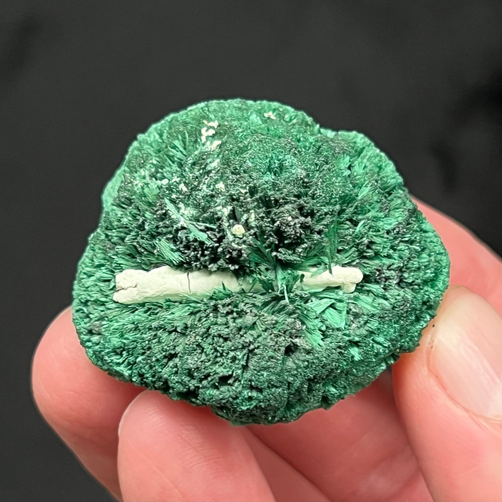 This is an attractive, fascinating Fibrous Malachite, unusually larger size single "ball" formation. No discernible contact point with the Malachite is evident.