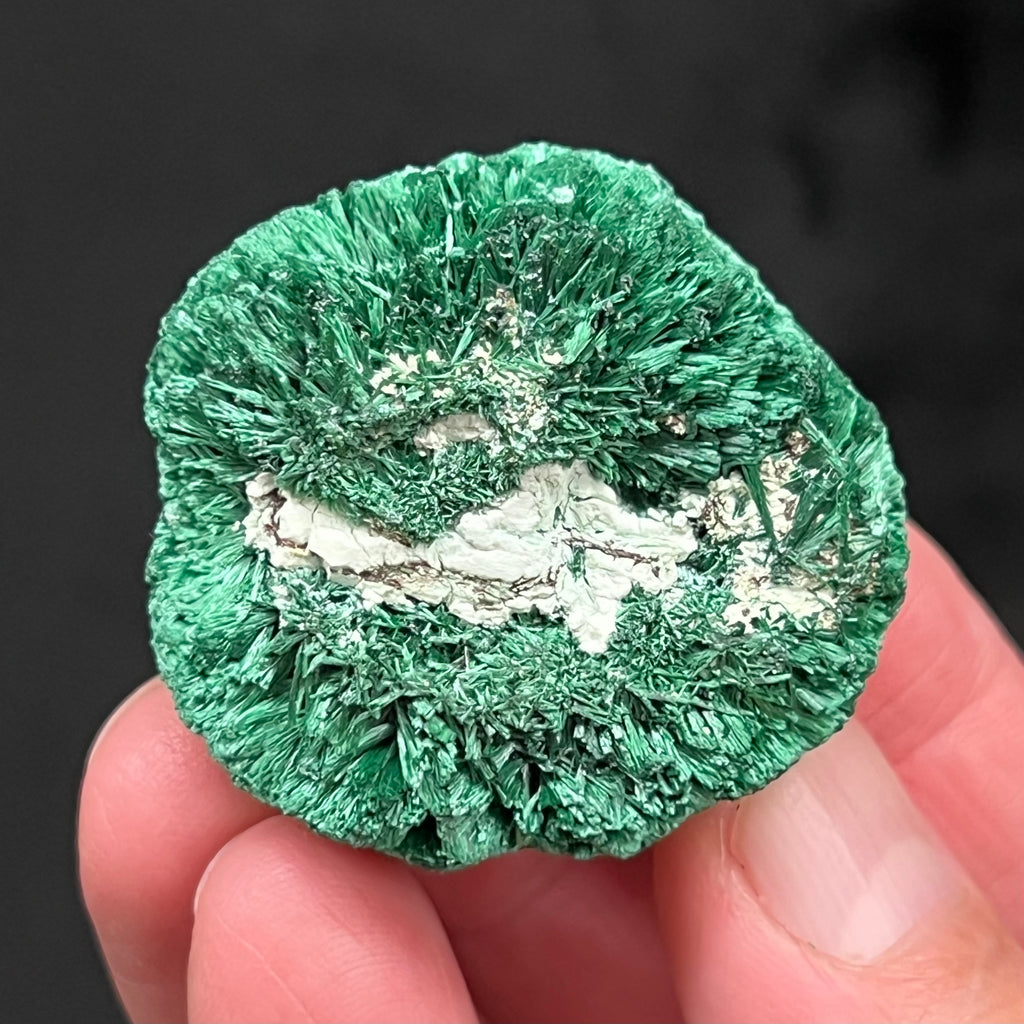 This gorgeous Fibrous Malachite features sensational color and form.