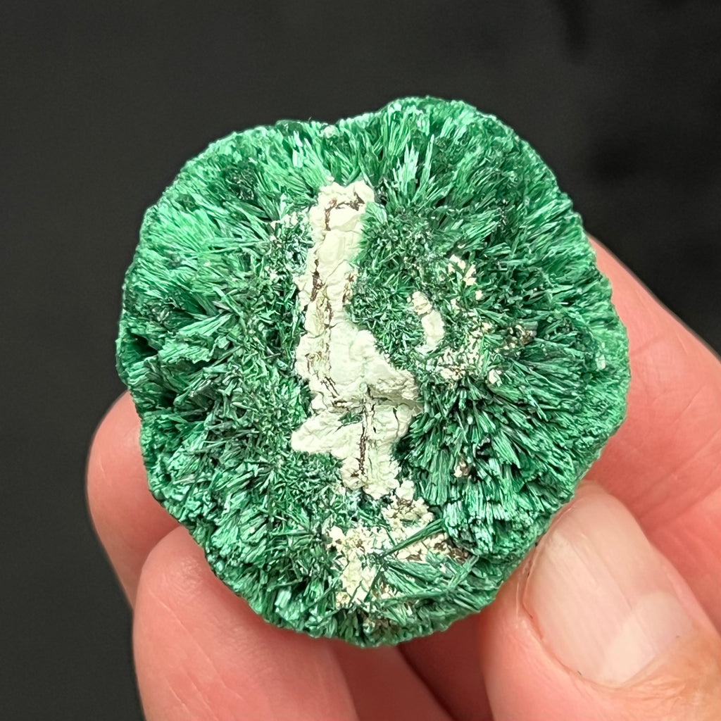 The shimmering qualities of this fibrous Malachite are exceptional.