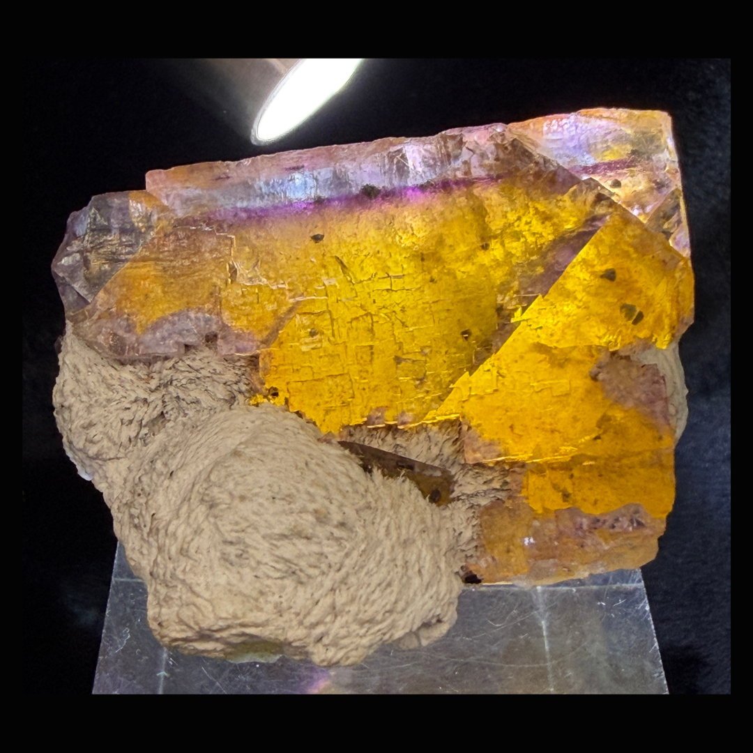 Fluorite with Barite Minerva No. 1