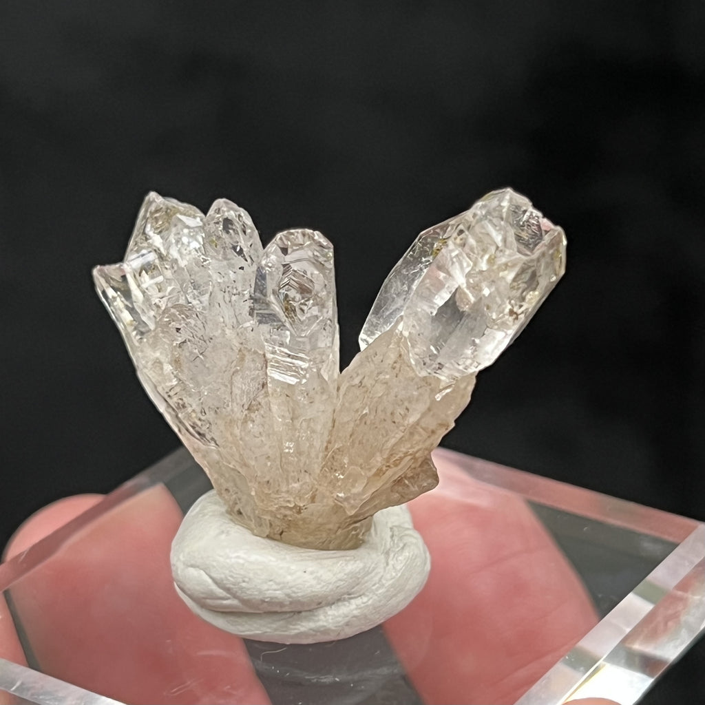 This Petroleum included Quartz, or often referred to as Firefly Quartz, is an outstanding representative of the type with the less common hoppered growth, most evident in the largest of the crystals in the cluster.