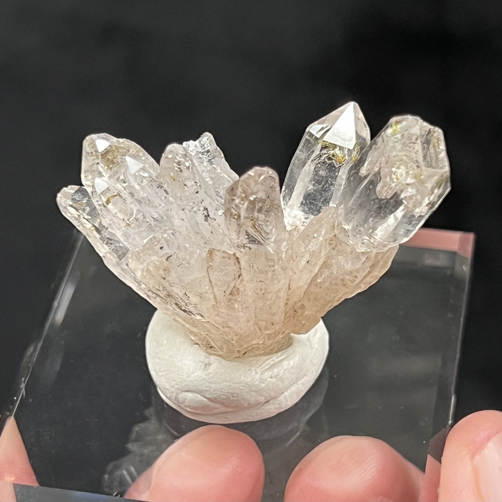 This beautiful Petroleum included Quartz presents with an attractive flower like presentation.