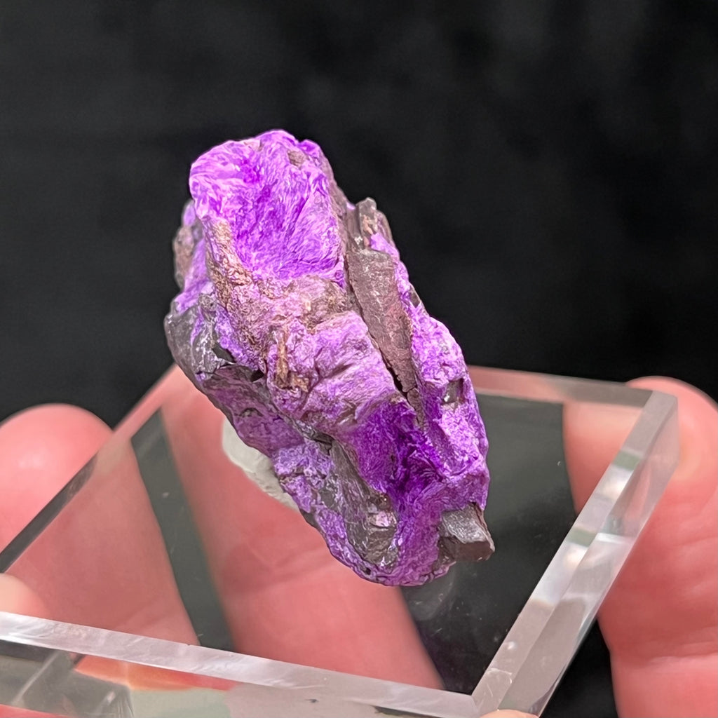 The source for this exceptional Fibrous Sugilite is the N'Chwaning III Mine, Kuruman, South Africa.