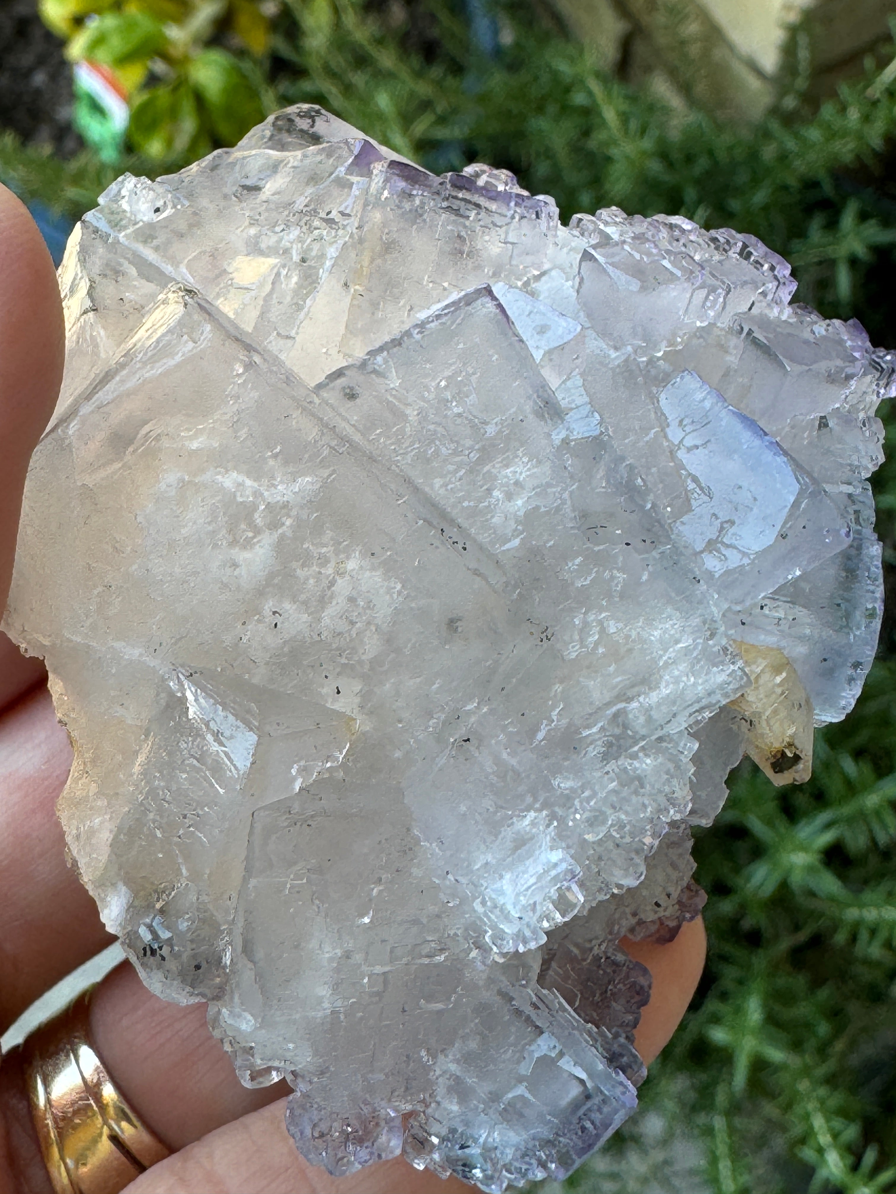 Fluorite Crystal Cluster