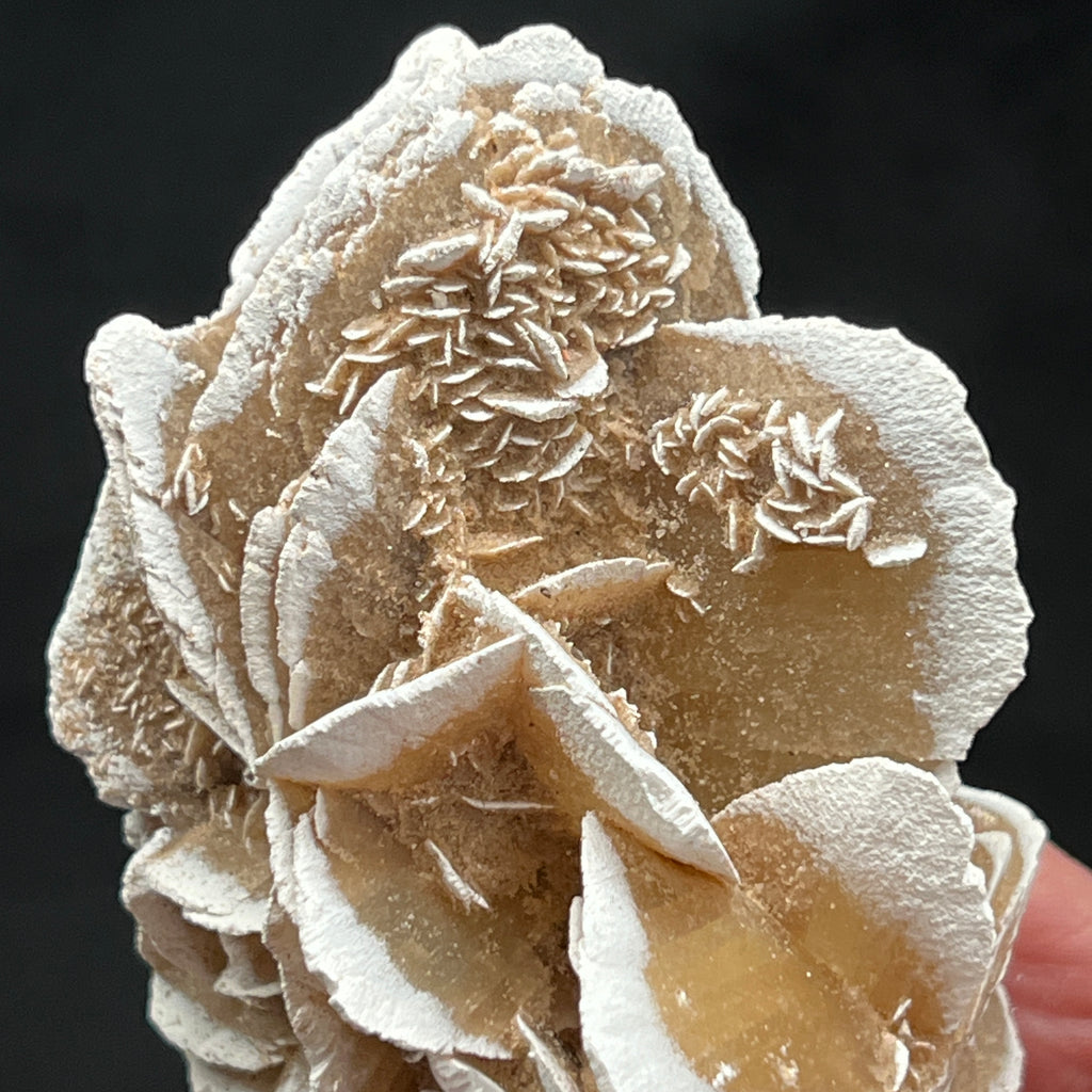 Excellent clusters of small secondary growth Gypsum crystals augment the commanding beauty of this specimen.
