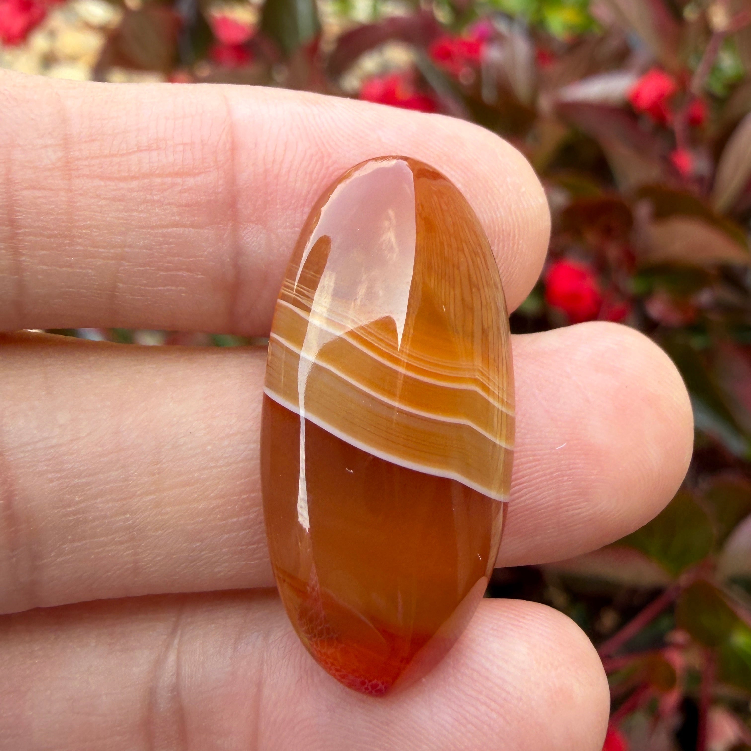 Carnelian-cabochon-shown in hand
