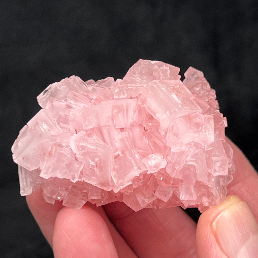  The Pink Halite in this excellent example of crystals have a nice luster and present on all sides of the piece.  