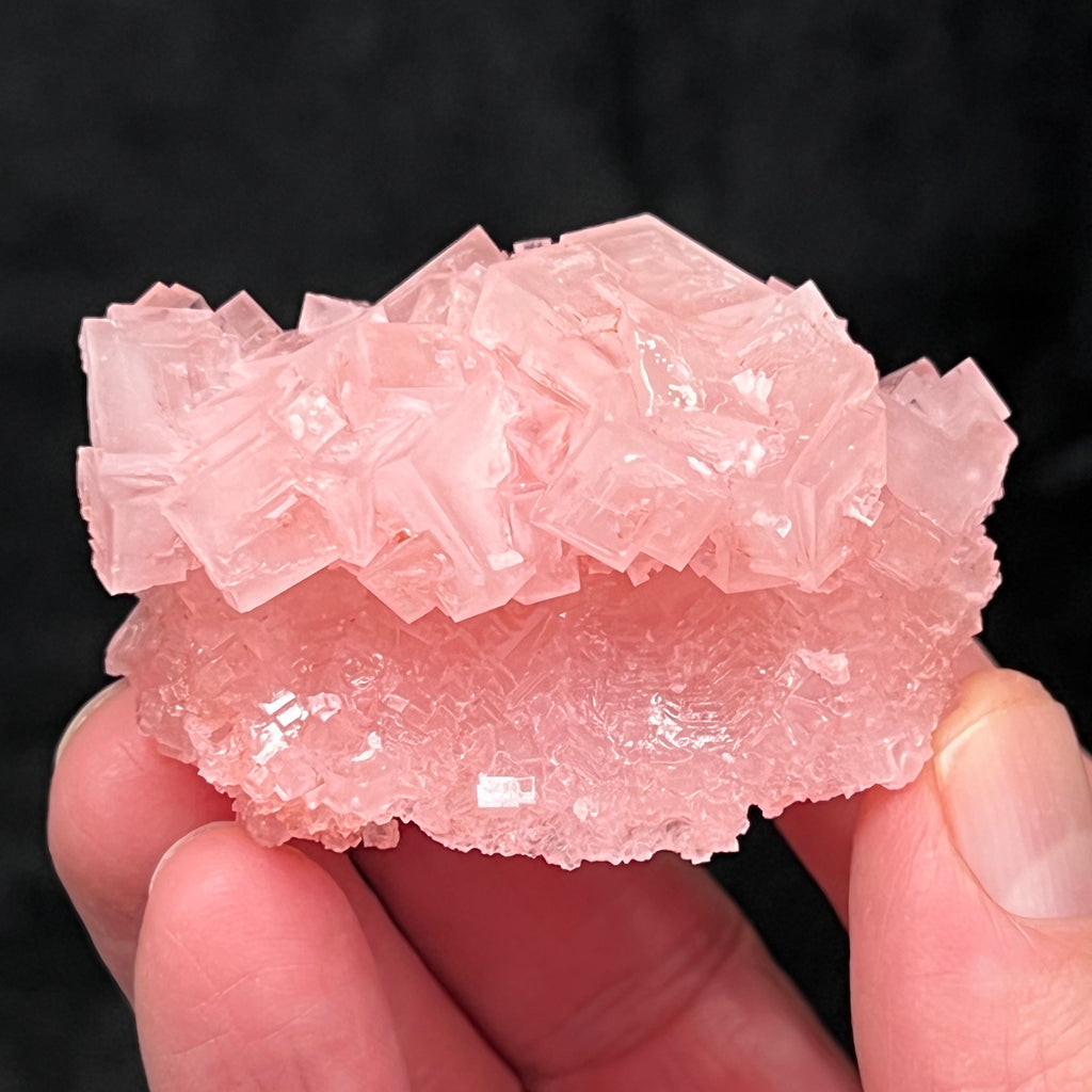 The Pink Halite crystals in this specimen present with a nice luster or shine. 