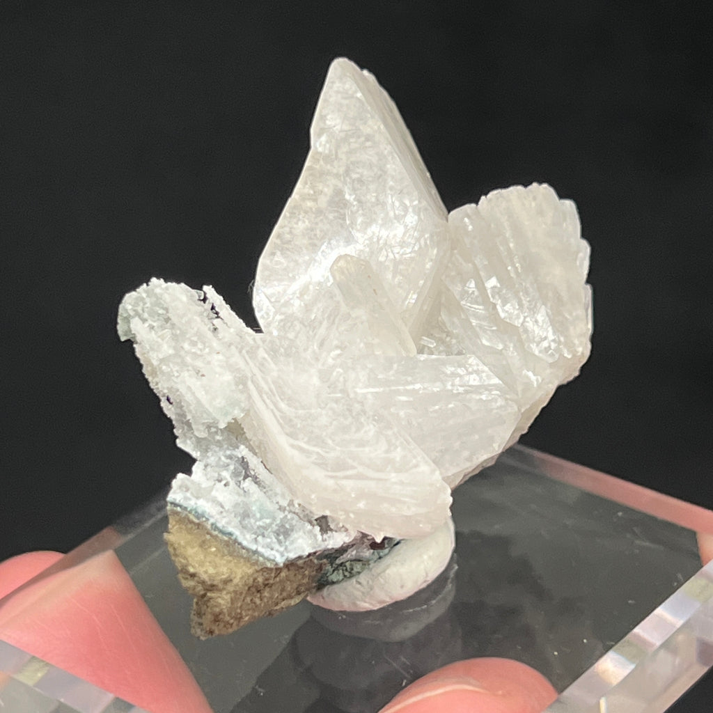  Sensationally very lustrous, this heulandite presents with a single tabular, equally pearly stilbite crystal right in the middle of the cluster. 