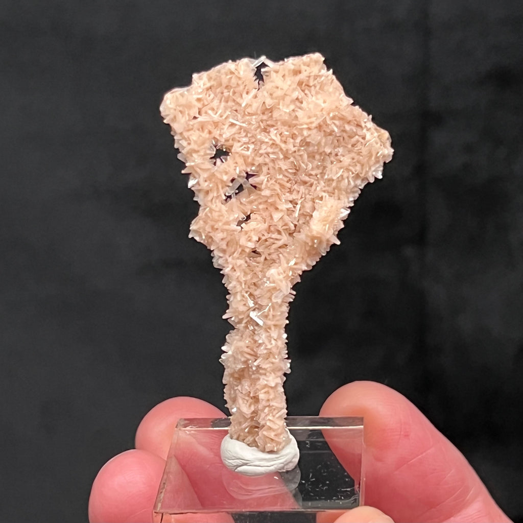 This entire specimen has an intriguing, overall sparkly, fan shaped appearance. The source for this surprising and exceptional Heulandite and Stilbite Stalactite formation is Sakur, the Ahmednagar District, Nashik Division, Maharashtra, India.  
