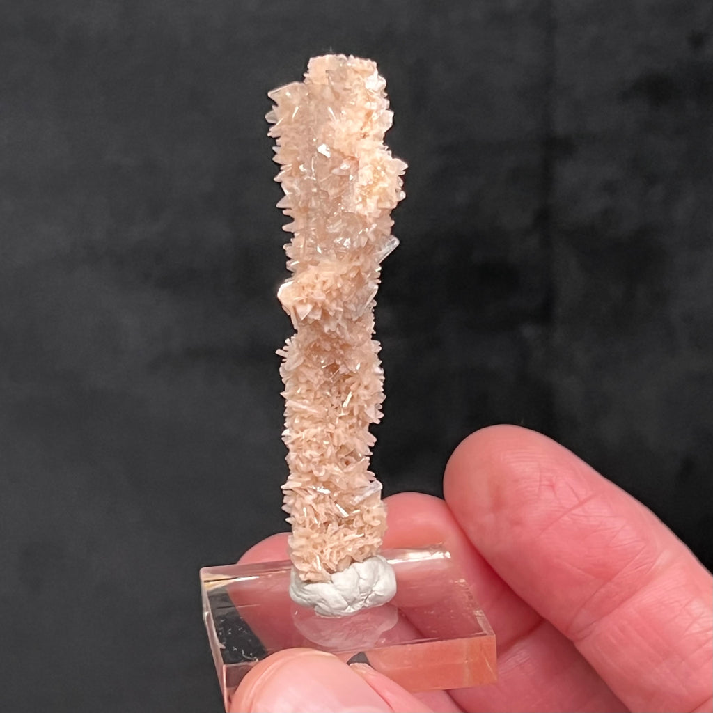 This is honestly a rarely seen stalactite growth formation of Heulandite and Stilbite. The source for this surprising and exceptional Heulandite and Stilbite Stalactite formation is Sakur, the Ahmednagar District, Nashik Division, Maharashtra, India.