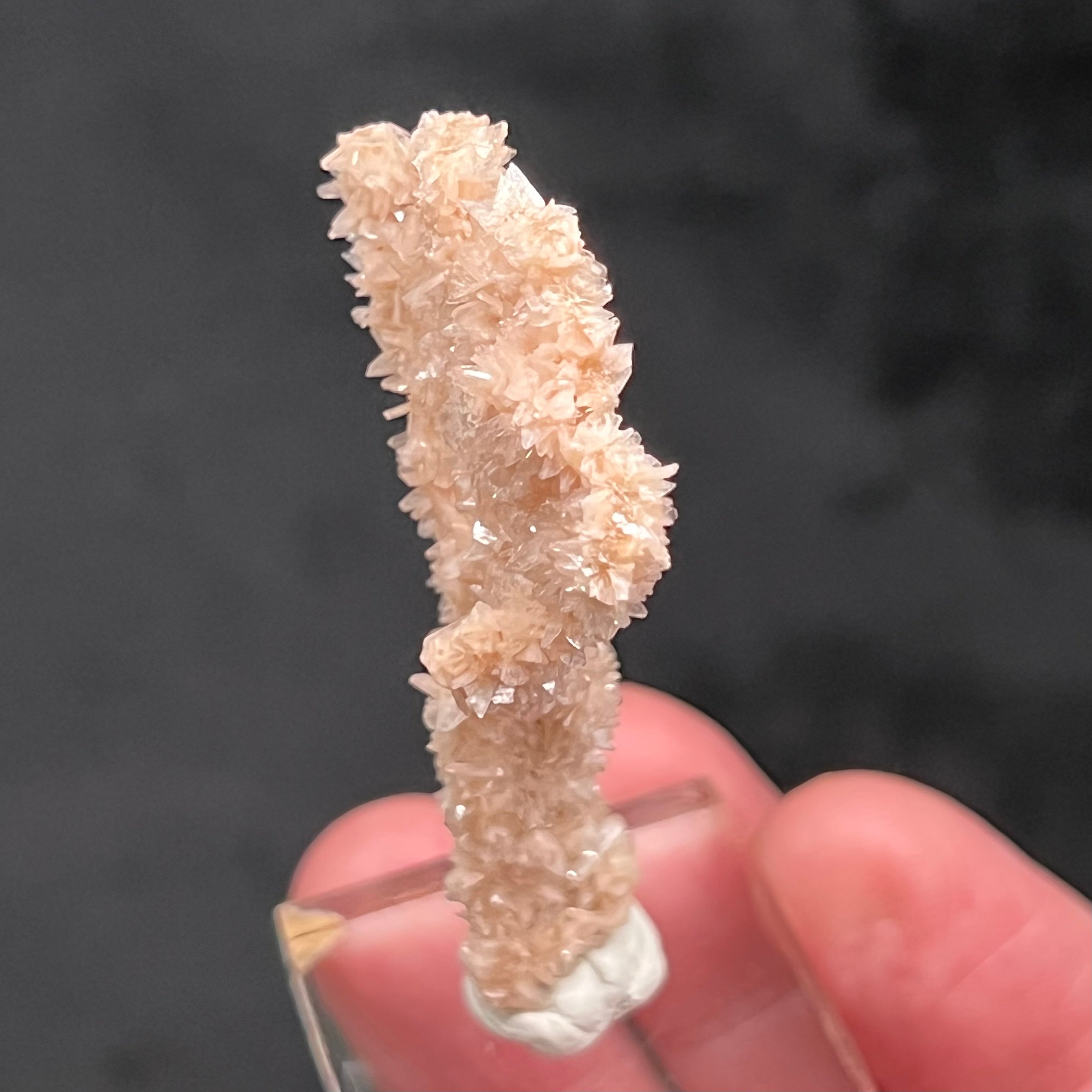 The source for this truly rare and exceptional Heulandite and Stilbite Stalactite formation is Sakur, the Ahmednagar District, Nashik Division, Maharashtra, India.  