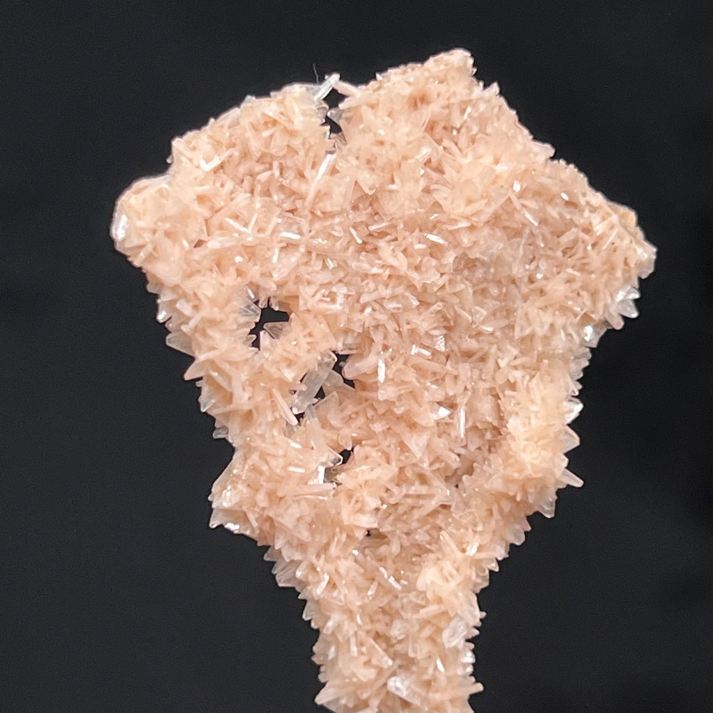 The combination of the well formed rhombic, wedge shaped Heulandite and slender, tabular Stilbite is beautiful, add to that a truly rare stalactite form, and you have an absolutely wonderous specimen! 
