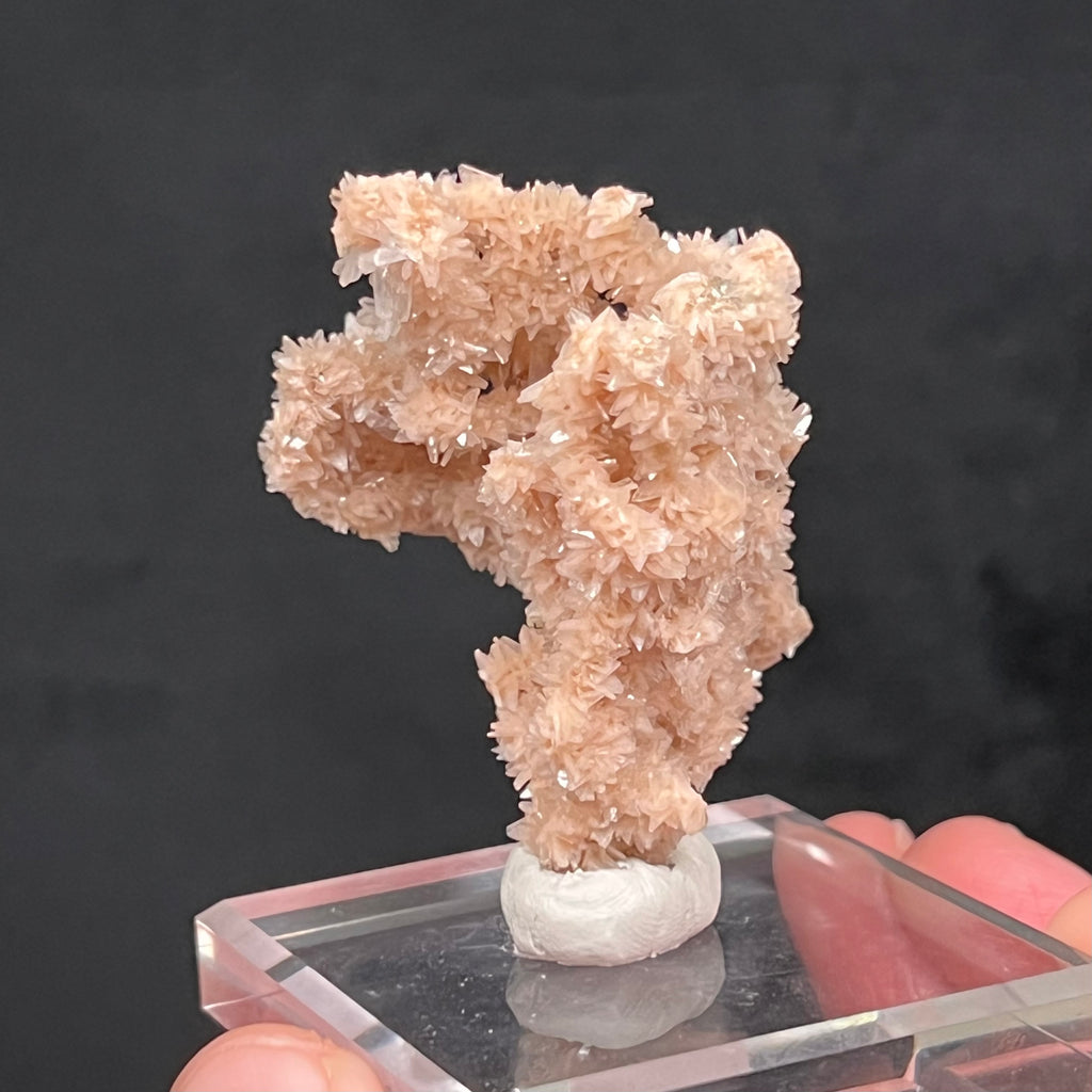 This is a rarely seen stalactite growth formation of Heulandite and Stilbite! The source for this surprising and exceptional Heulandite and Stilbite Stalactite formation is Sakur, the Ahmednagar District, Nashik Division, Maharashtra, India.  