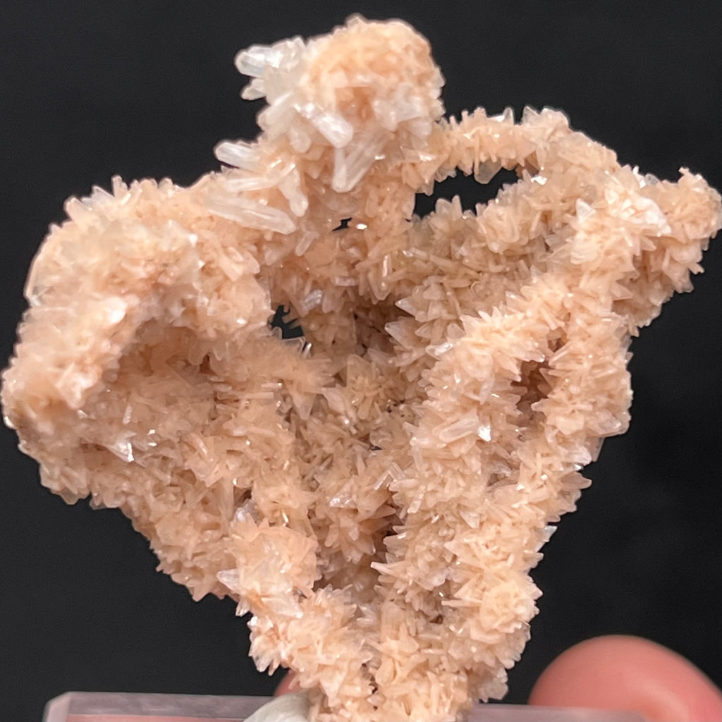 The combination of the well formed rhombic, wedge shaped Heulandite and slender, tabular Stilbite is beautiful, add to that a truly rare stalactite form, and you have an absolutely wonderous specimen! 