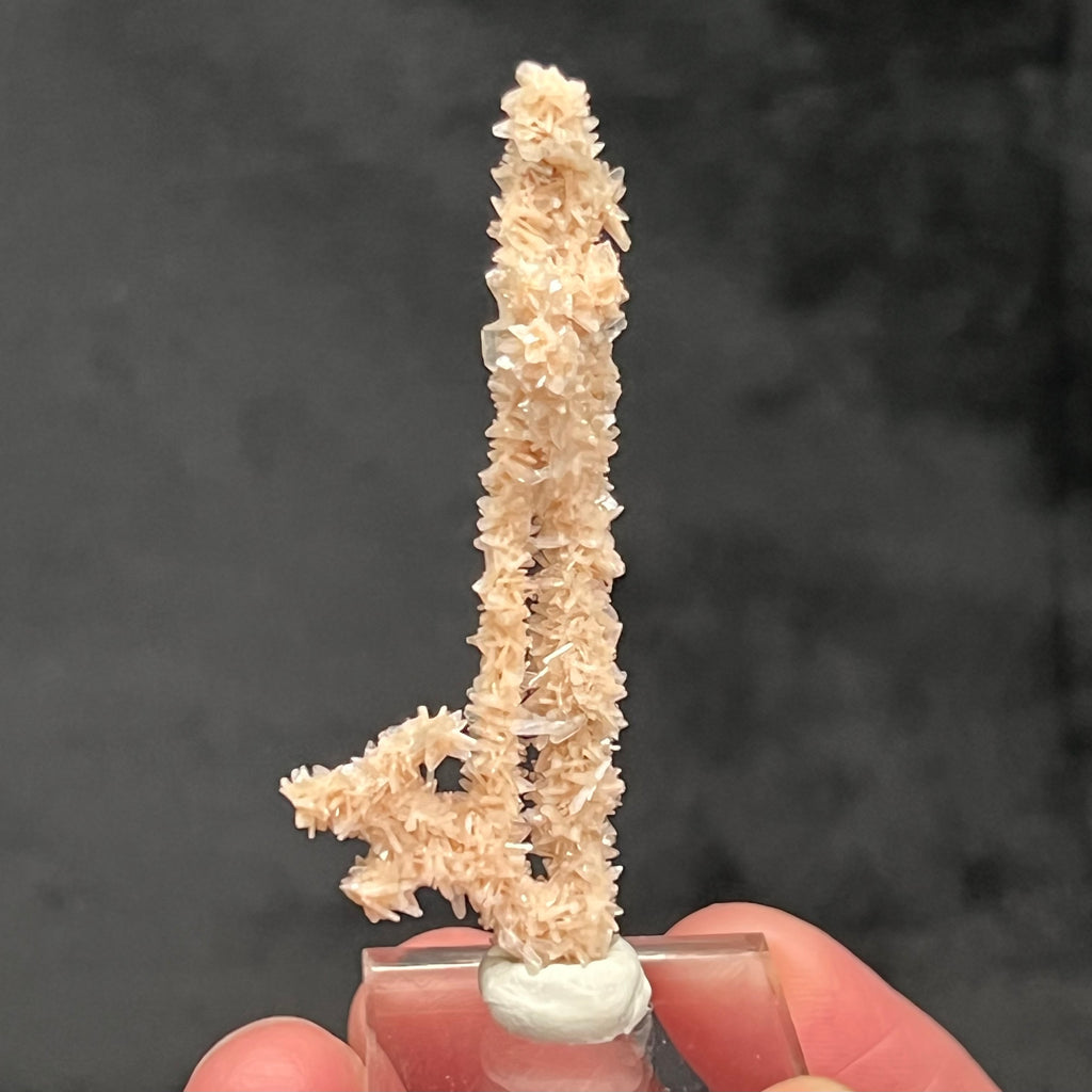 The source for this truly rare and exceptional Heulandite and Stilbite Stalactite formation is Sakur, the Ahmednagar District, Nashik Division, Maharashtra, India.