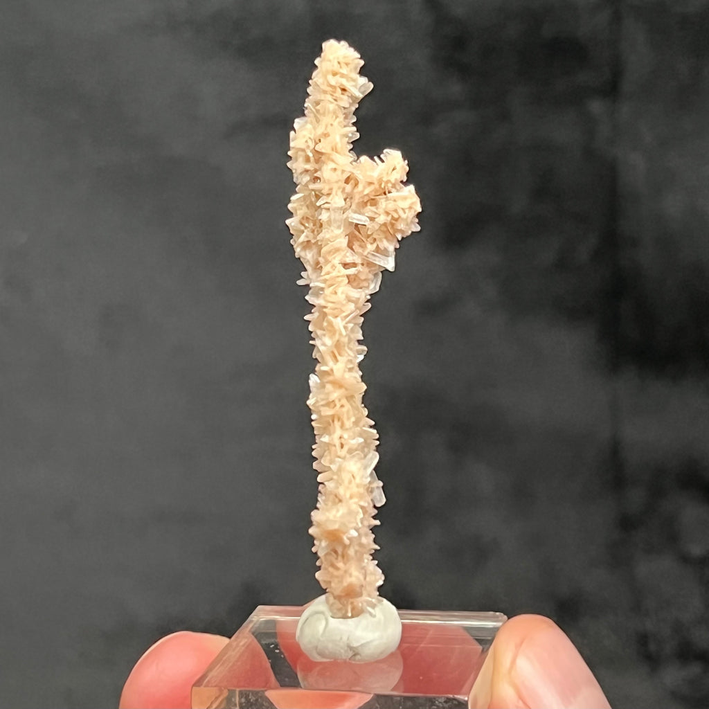 This is a rarely seen stalactite growth formation of Heulandite and Stilbite!  The source for this surprising and exceptional Heulandite and Stilbite Stalactite formation is Sakur, the Ahmednagar District, Nashik Division, Maharashtra, India.  