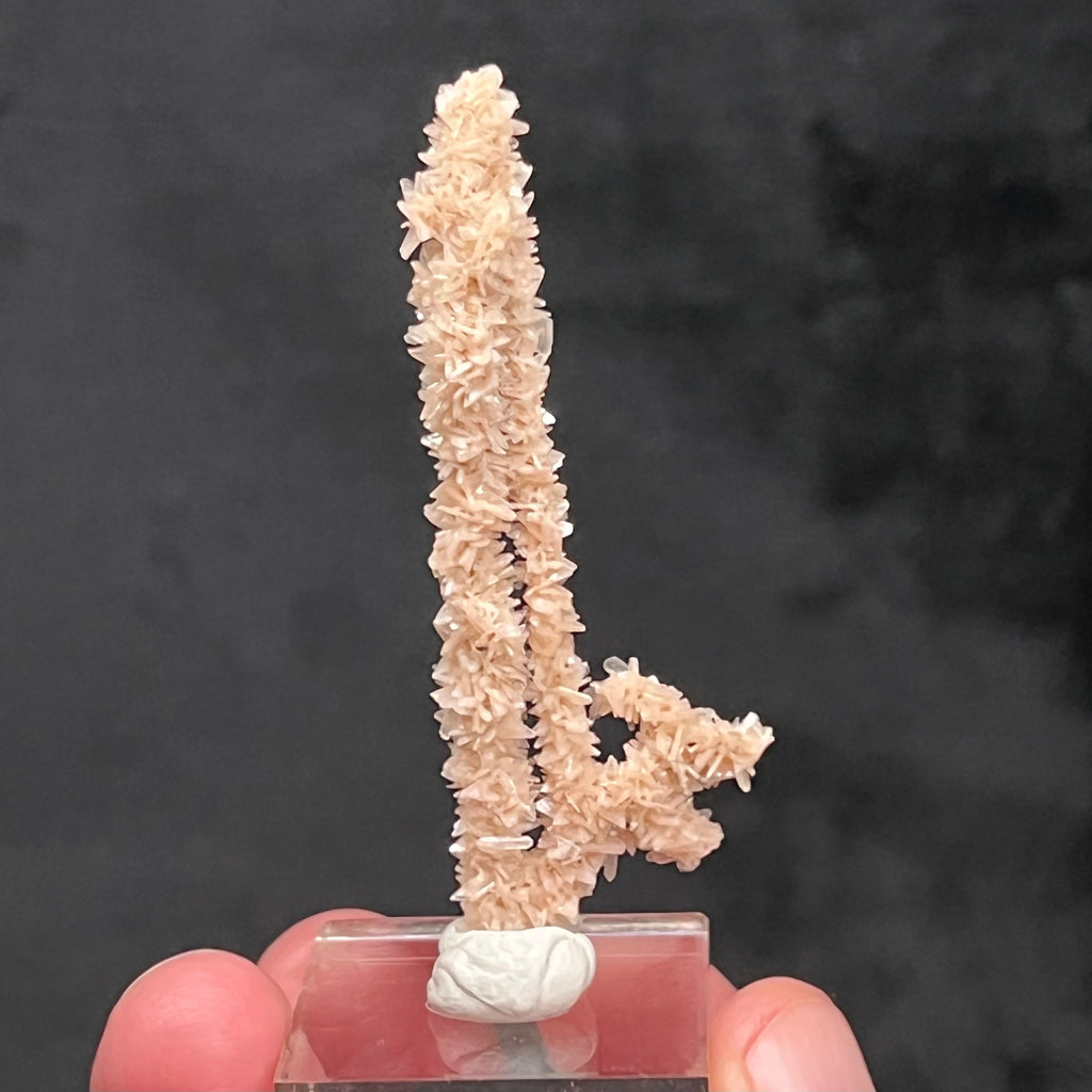 The combination of the well formed rhombic, wedge shaped Heulandite and slender, tabular Stilbite is beautiful, add to that a truly rare stalactite form, and you have an absolutely wonderous specimen!