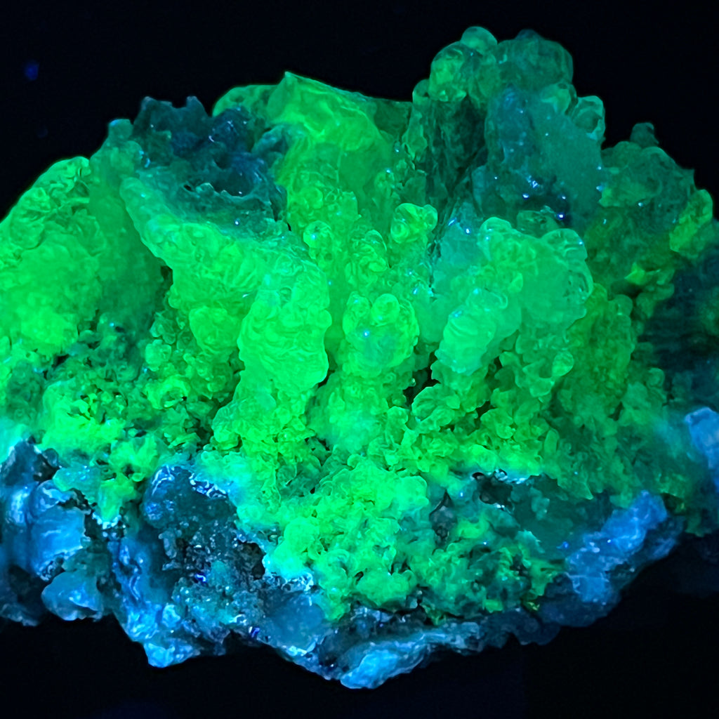  When exposed to UV light this excellent Hyalite Opal on Chalcedony fluoresces with a bright yellow-green glow. 
